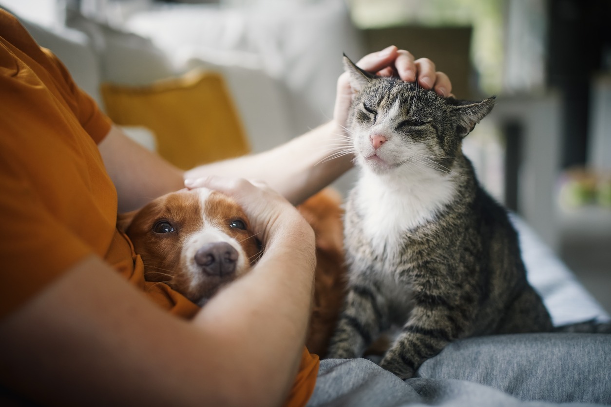 unusual reasons to make a will